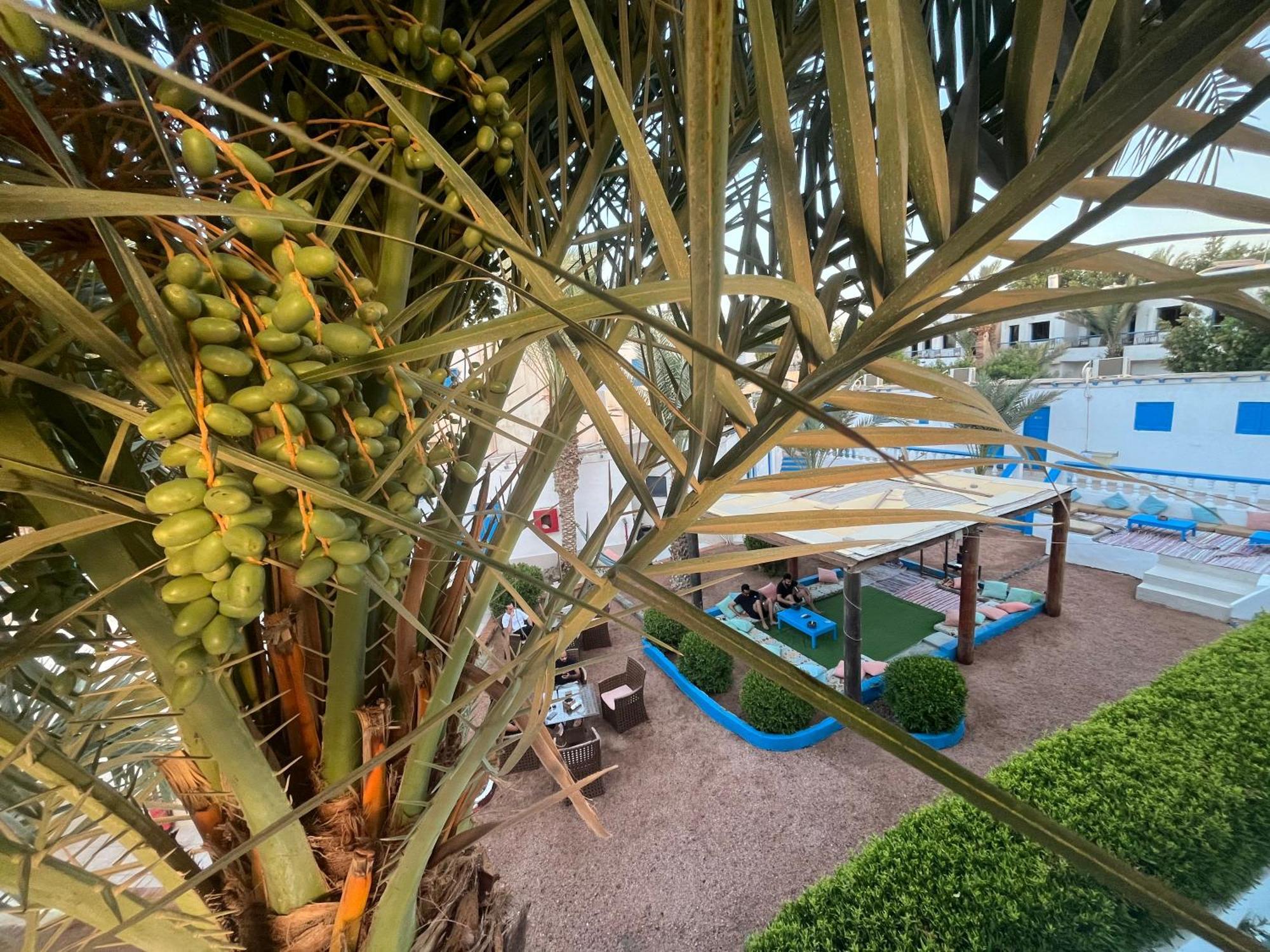 Auski Hostel Dahab Exterior foto